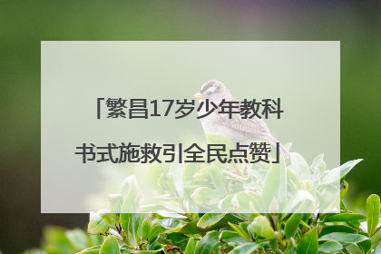 繁昌17岁少年教科书式施救引全民点赞