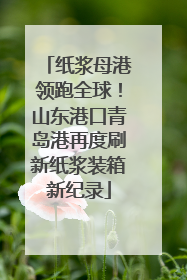 纸浆母港领跑全球！山东港口青岛港再度刷新纸浆装箱新纪录