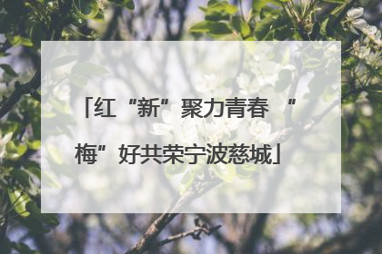 红“新”聚力青春 “梅”好共荣宁波慈城
