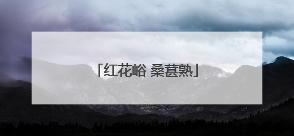 红花峪 桑葚熟