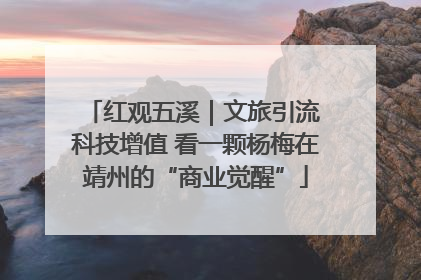 红观五溪｜文旅引流 科技增值 看一颗杨梅在靖州的“商业觉醒”