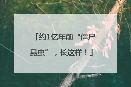 约1亿年前“僵尸昆虫”，长这样！