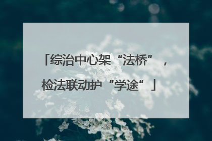 综治中心架“法桥”，检法联动护“学途”