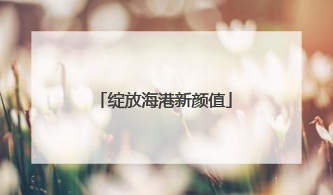 绽放海港新颜值