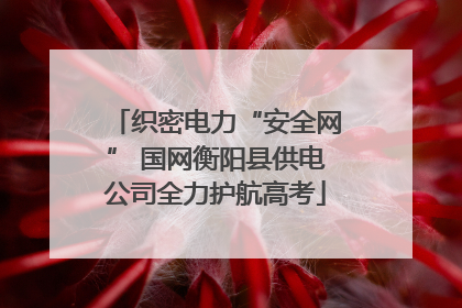 织密电力“安全网” 国网衡阳县供电公司全力护航高考