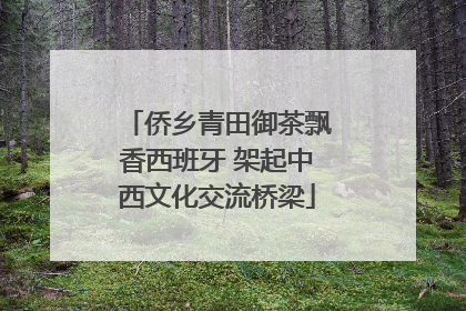 侨乡青田御茶飘香西班牙 架起中西文化交流桥梁