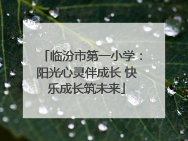 临汾市第一小学：阳光心灵伴成长 快乐成长筑未来