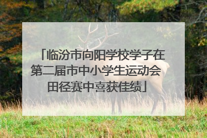 临汾市向阳学校学子在第二届市中小学生运动会田径赛中喜获佳绩