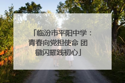 临汾市平阳中学：青春向党担使命 团徽闪耀践初心