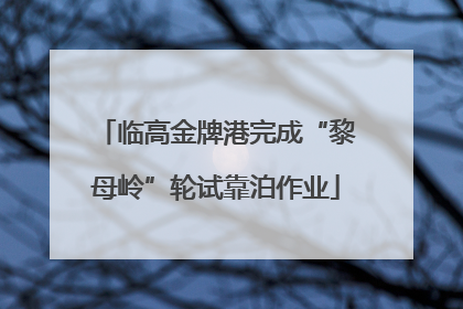 临高金牌港完成“黎母岭”轮试靠泊作业