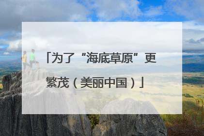 为了“海底草原”更繁茂（美丽中国）