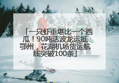 一只虾重堪比一个西瓜！90吨活波龙运抵鄂州，花湖机场货运航线突破100条