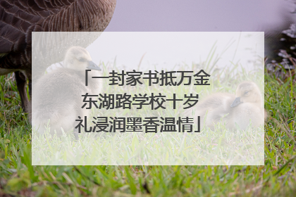 一封家书抵万金 东湖路学校十岁礼浸润墨香温情
