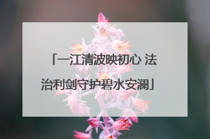 一江清波映初心 法治利剑守护碧水安澜