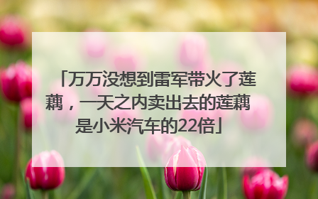 万万没想到雷军带火了莲藕，一天之内卖出去的莲藕是小米汽车的22倍