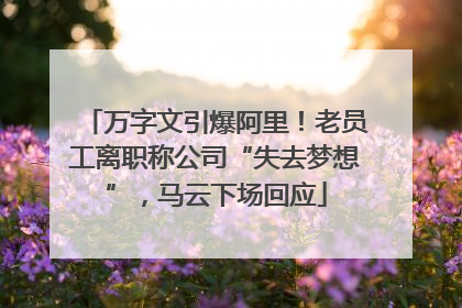 万字文引爆阿里！老员工离职称公司“失去梦想”，马云下场回应