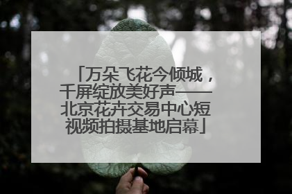 万朵飞花今倾城，千屏绽放美好声——北京花卉交易中心短视频拍摄基地启幕