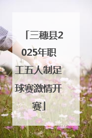 三穗县2025年职工五人制足球赛激情开赛