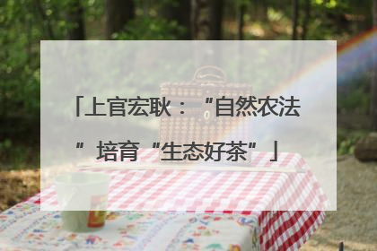 上官宏耿：“自然农法”培育“生态好茶”