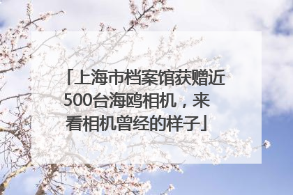 上海市档案馆获赠近500台海鸥相机，来看相机曾经的样子
