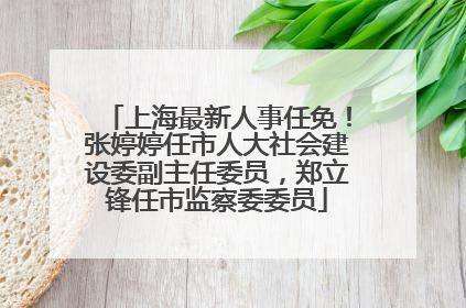上海最新人事任免！张婷婷任市人大社会建设委副主任委员，郑立锋任市监察委委员