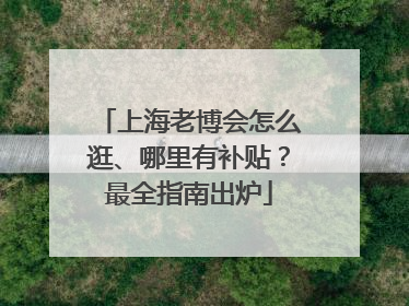 上海老博会怎么逛、哪里有补贴？最全指南出炉