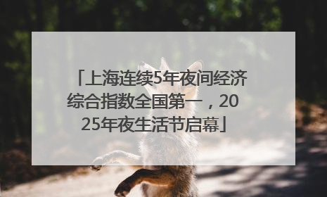 上海连续5年夜间经济综合指数全国第一，2025年夜生活节启幕