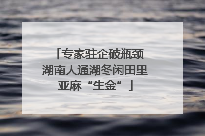 专家驻企破瓶颈 湖南大通湖冬闲田里亚麻“生金”