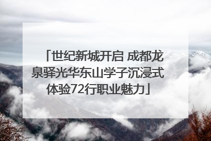 世纪新城开启 成都龙泉驿光华东山学子沉浸式体验72行职业魅力