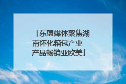 东盟媒体聚焦湖南怀化箱包产业 产品畅销亚欧美