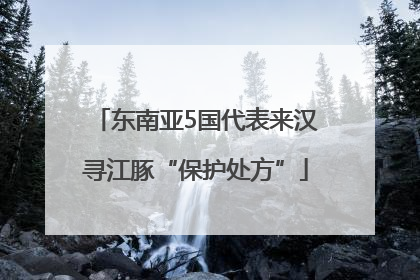 东南亚5国代表来汉寻江豚“保护处方”