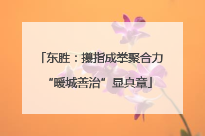 东胜：攥指成拳聚合力 “暖城善治”显真章