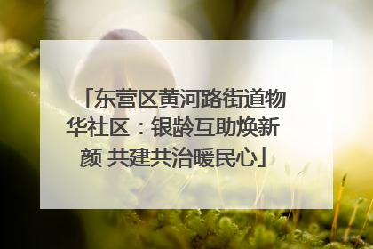 东营区黄河路街道物华社区：银龄互助焕新颜 共建共治暖民心
