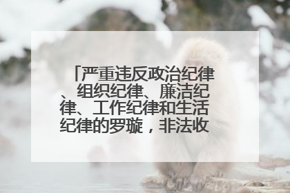 严重违反政治纪律、组织纪律、廉洁纪律、工作纪律和生活纪律的罗璇，非法收受他人巨额财物