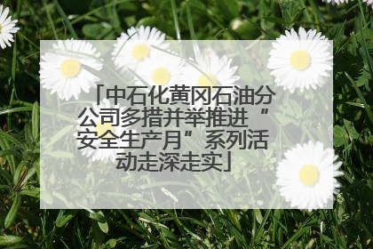 中石化黄冈石油分公司多措并举推进“安全生产月”系列活动走深走实
