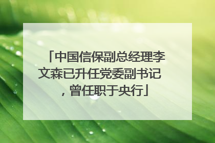 中国信保副总经理李文森已升任党委副书记，曾任职于央行