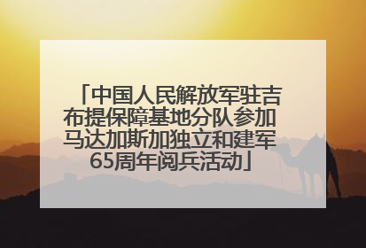 中国人民解放军驻吉布提保障基地分队参加马达加斯加独立和建军65周年阅兵活动