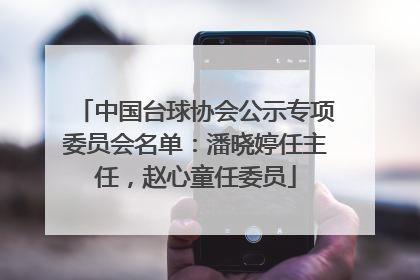 中国台球协会公示专项委员会名单：潘晓婷任主任，赵心童任委员