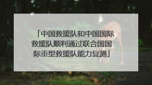 中国救援队和中国国际救援队顺利通过联合国国际重型救援队能力复测