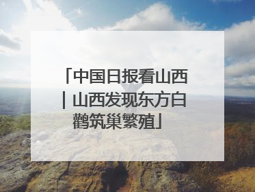 中国日报看山西｜山西发现东方白鹳筑巢繁殖