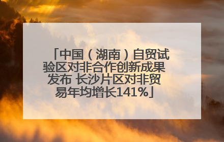 中国（湖南）自贸试验区对非合作创新成果发布 长沙片区对非贸易年均增长141%