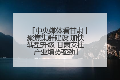 中央媒体看甘肃丨聚焦集群建设 加快转型升级 甘肃支柱产业增势强劲