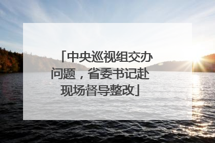 中央巡视组交办问题，省委书记赴现场督导整改
