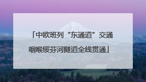 中欧班列“东通道”交通咽喉绥芬河隧道全线贯通