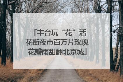 丰台玩“花”活 花街夜市百万片玫瑰花瓣雨甜翻北京城