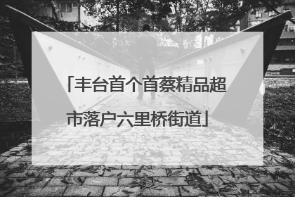 丰台首个首蔡精品超市落户六里桥街道