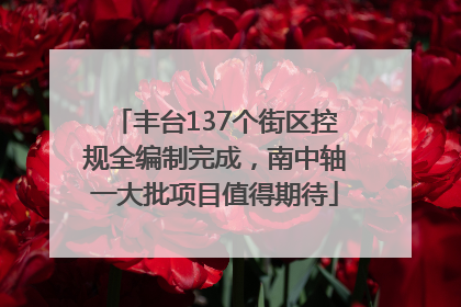 丰台137个街区控规全编制完成，南中轴一大批项目值得期待