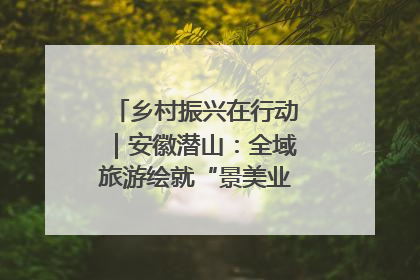 乡村振兴在行动｜安徽潜山：全域旅游绘就“景美业兴民富”新画卷