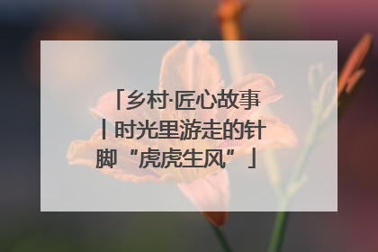 乡村·匠心故事丨时光里游走的针脚“虎虎生风”