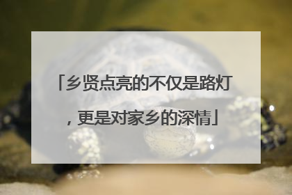 乡贤点亮的不仅是路灯，更是对家乡的深情